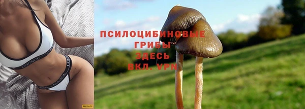наркотики Белокуриха